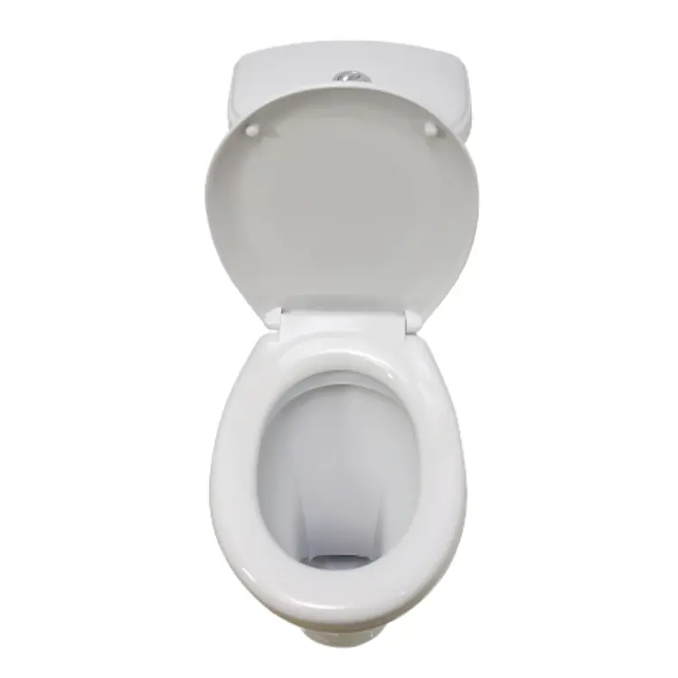 White Toilet with Open Lid