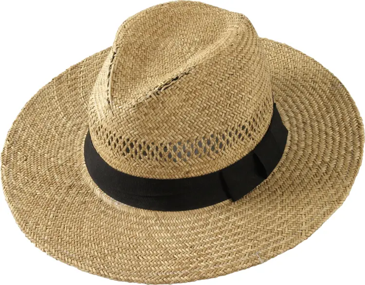 Casual Straw Hat for Summer