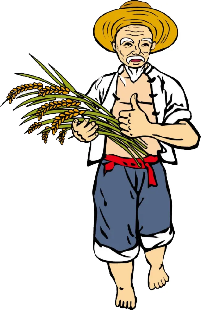 Farmer Holding Rice Sheaves