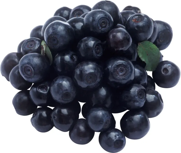 Cluster of Blueberries