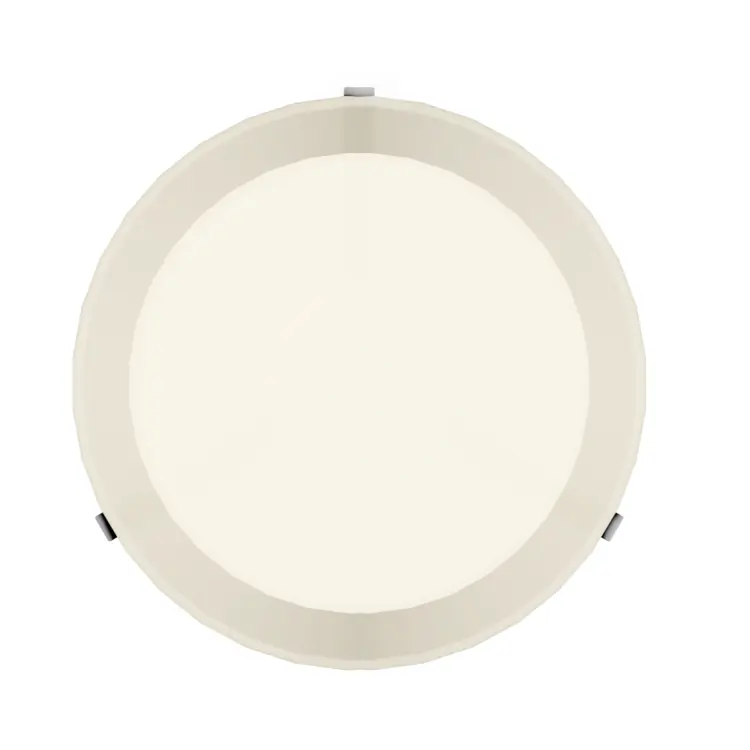 Modern Ceiling Light for Home Decor