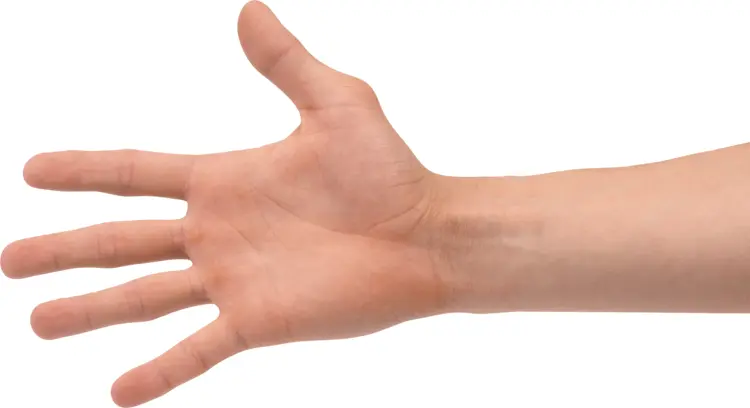 Hand with Fingers Spread Side View