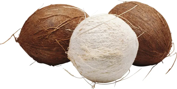Three Coconuts in Different Colors