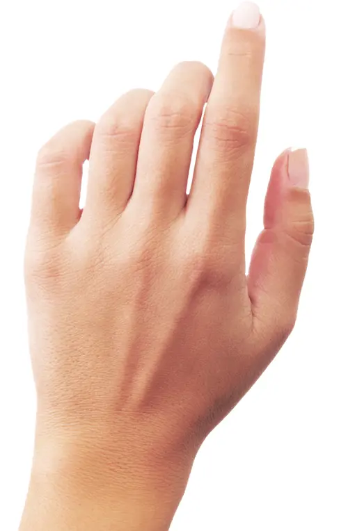 Pointing Hand Gesture