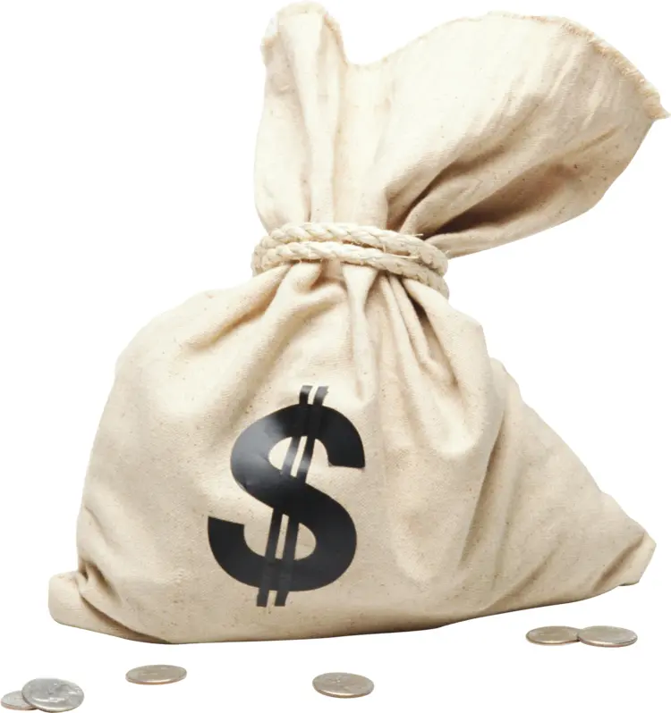 Money Bag with Coins