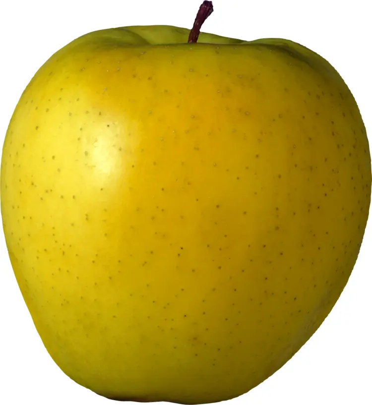 Fresh Yellow Apple