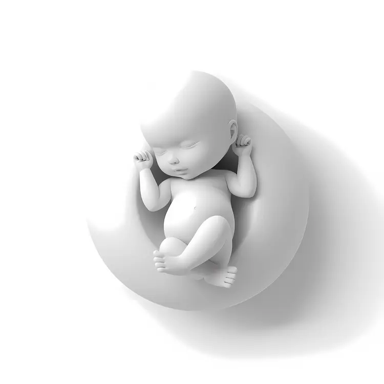 Minimalist Sleeping Baby