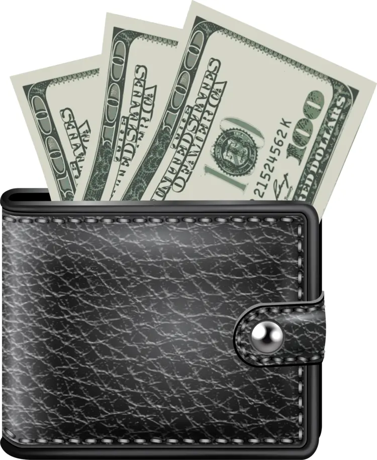 Black Wallet with Dollar Bills