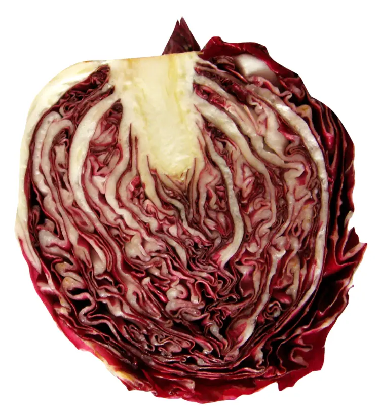 Red Radicchio Cut in Half