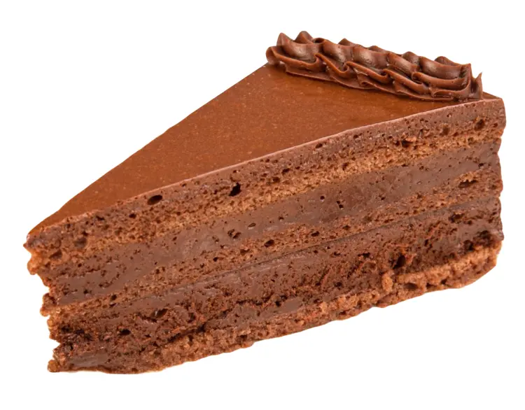 Rich Chocolate Cake Slice