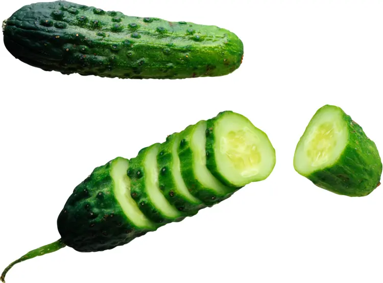 Fresh Sliced Cucumber