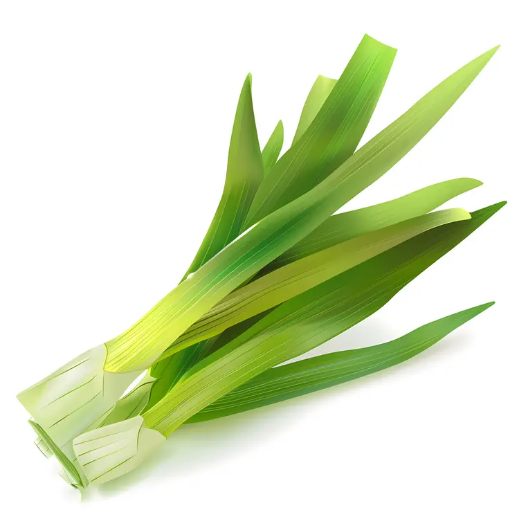 Fresh Green Leek Vegetable