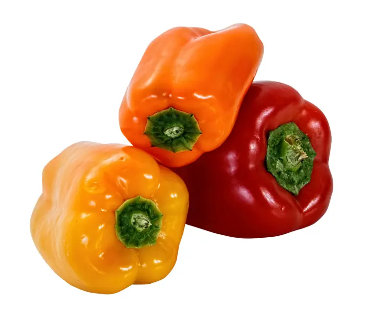 Mixed Bell Peppers Vegetable