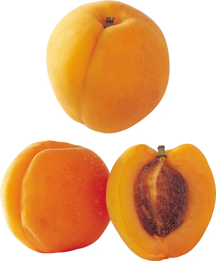Yellow Apricot