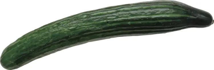 Fresh Long Cucumber