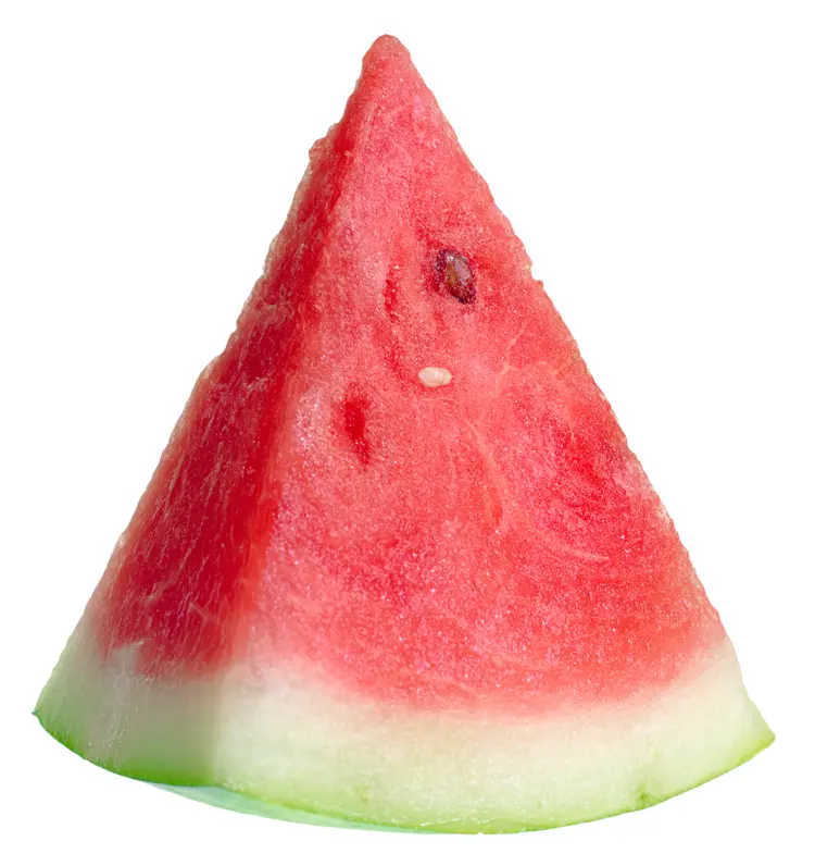 Juicy Watermelon Slice