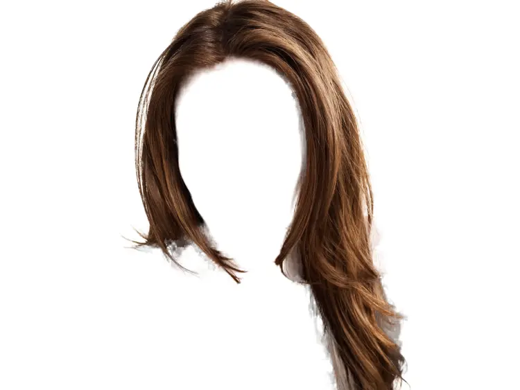 Brown Hair Wig
