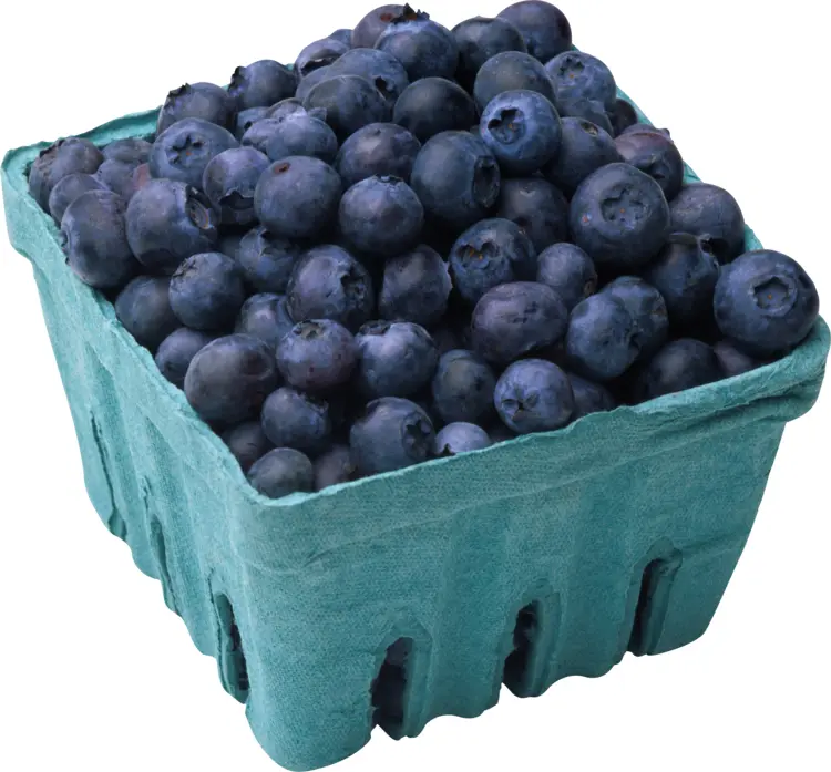 Basket of Blueberries