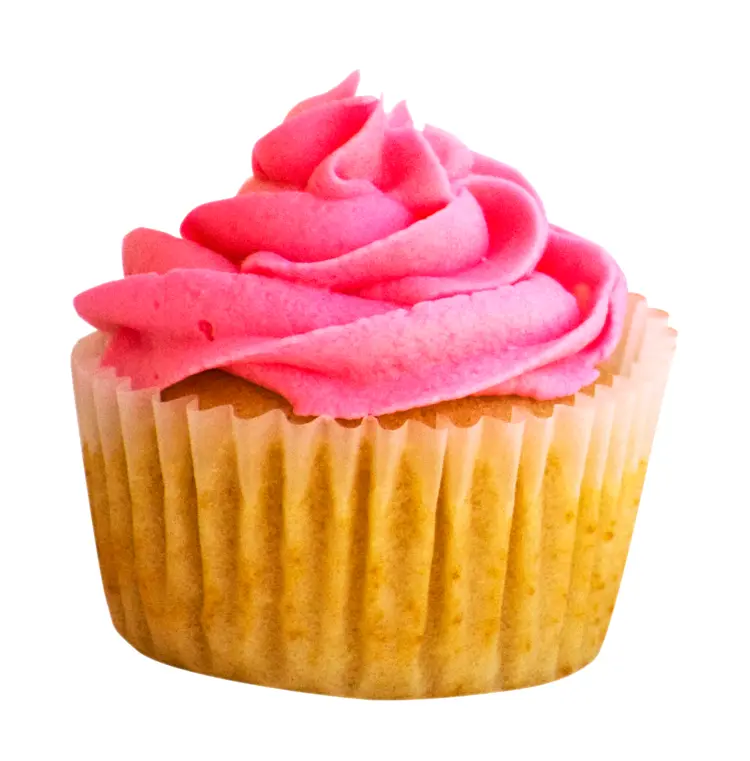 Delicious Pink Frosted Cupcake