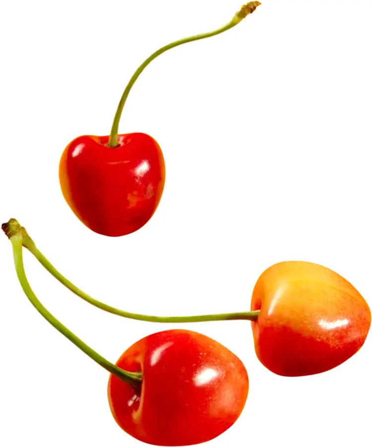 Fresh Red Cherries