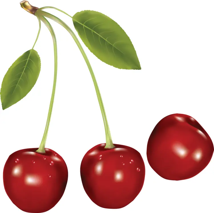 Red Cherries with Green Leaves