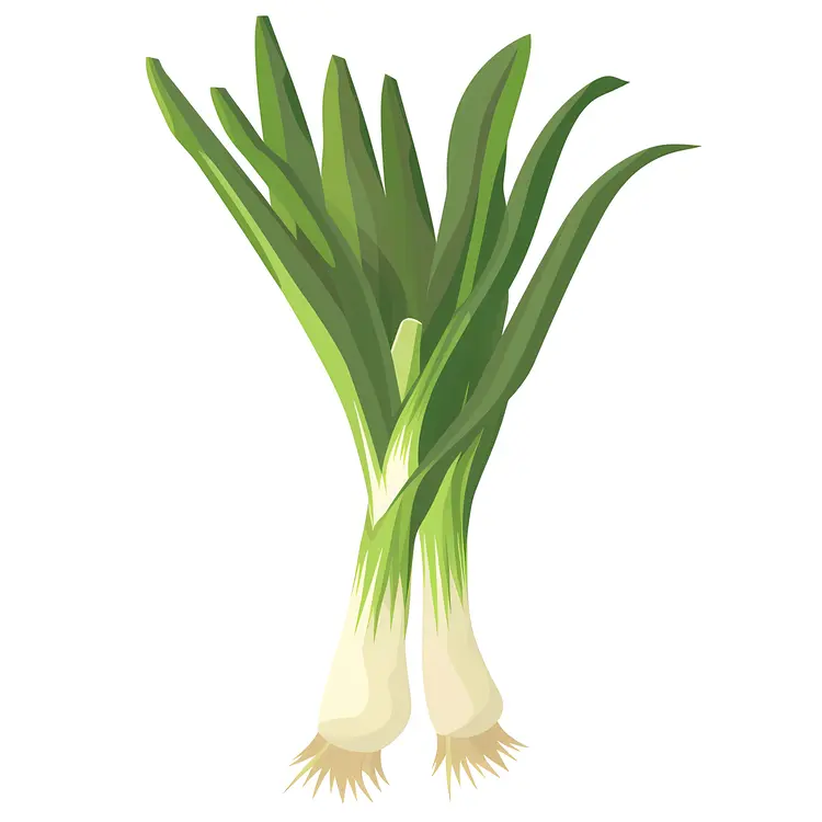 Fresh Green Onion Vegetable