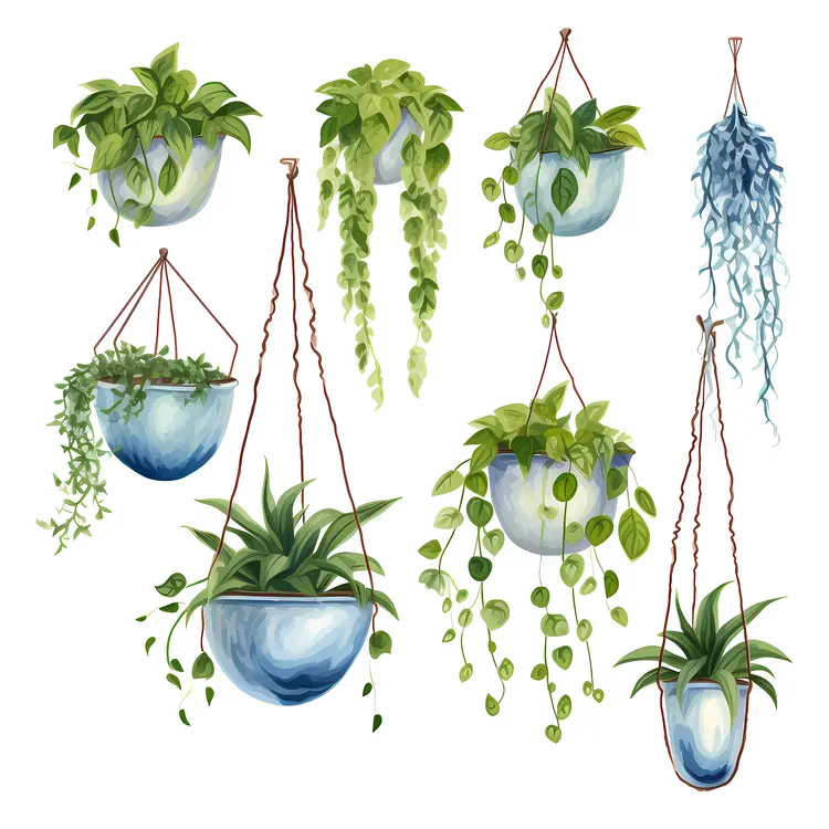 Beautiful Hanging Plants in Blue Pots