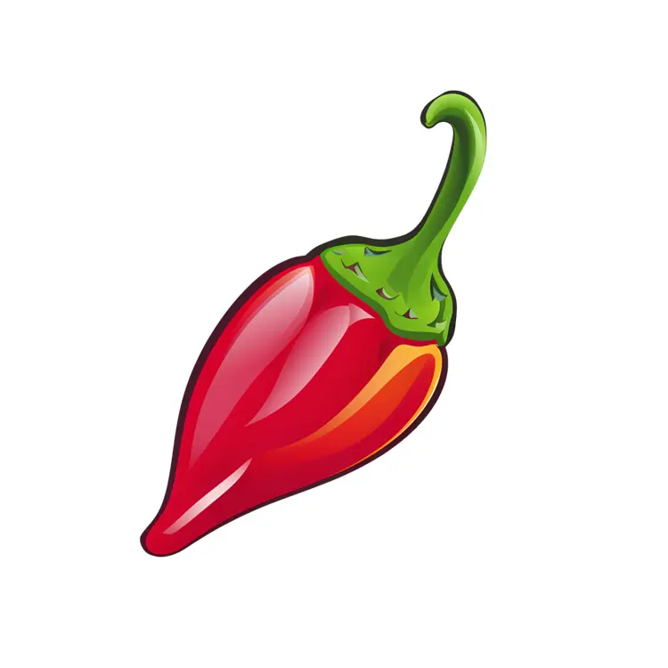 Single Red Chili Pepper Illustration