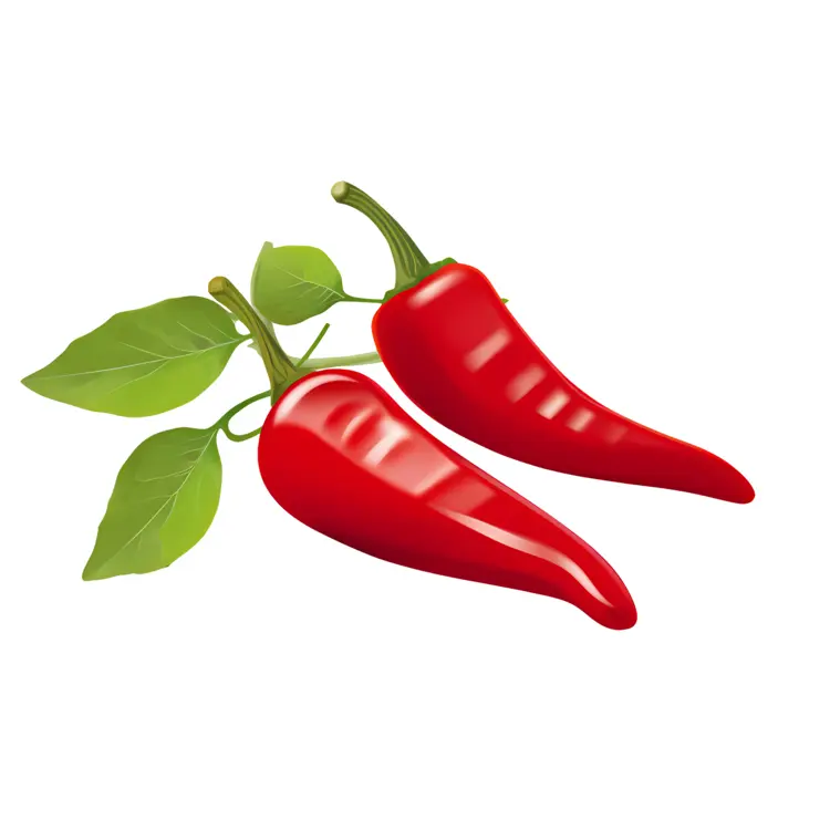 Red Chili Peppers with Green Leaves Illustration