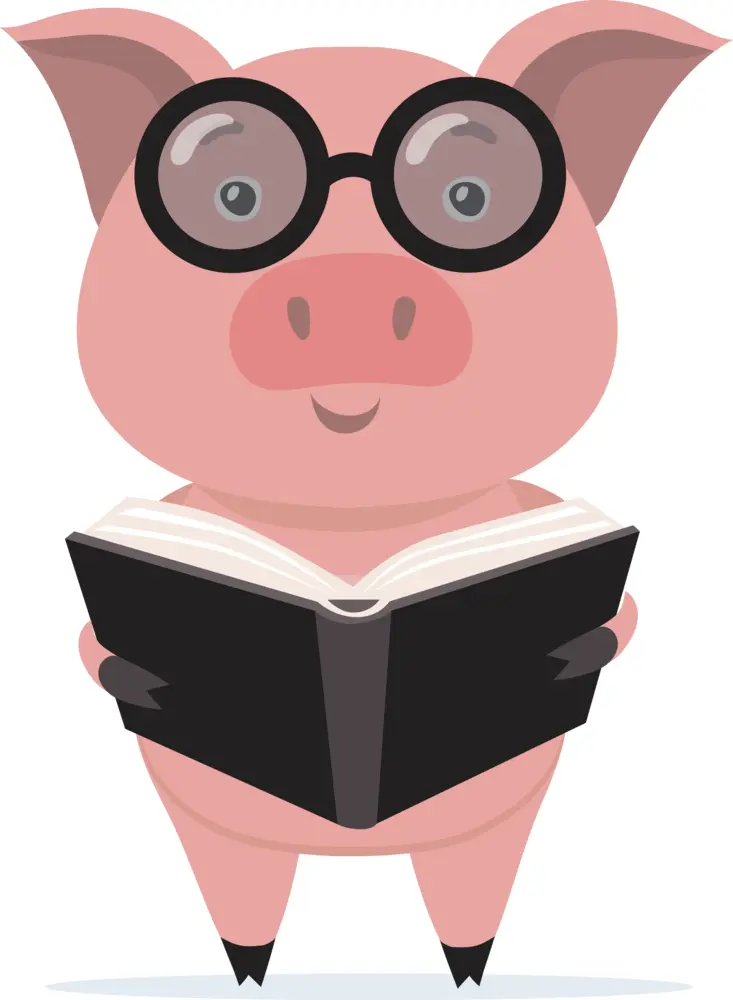 Pig with Glasses Reading a Book