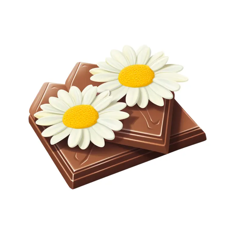 Chocolate Bars with Daisies Illustration