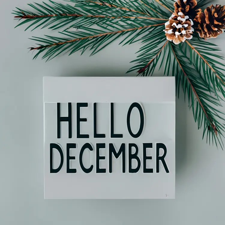 December Text with Pine Branches