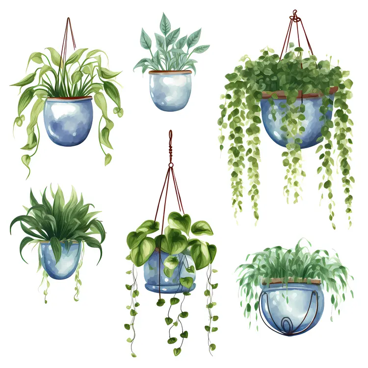 Beautiful Hanging Plants in Watercolor Style