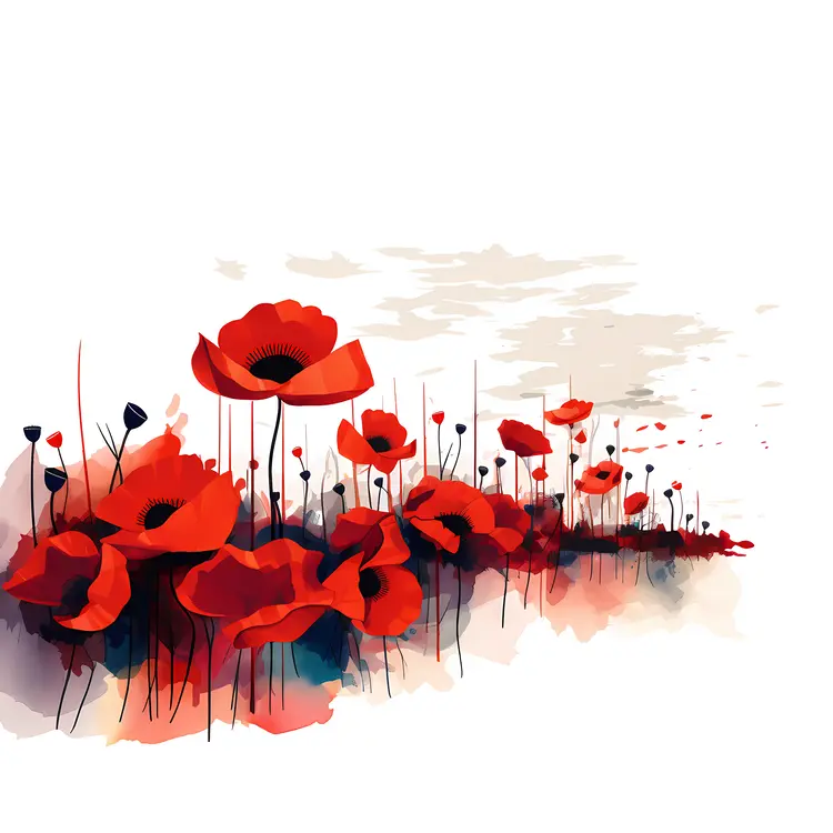 Field of Red Poppies
