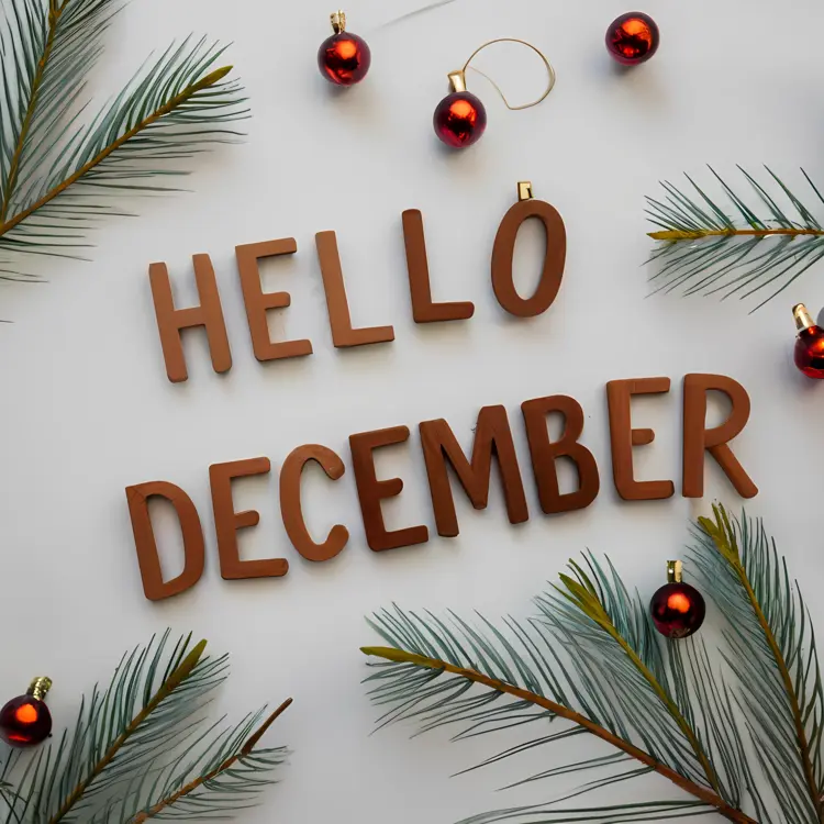 Ornaments and Branches with Hello December Greeting