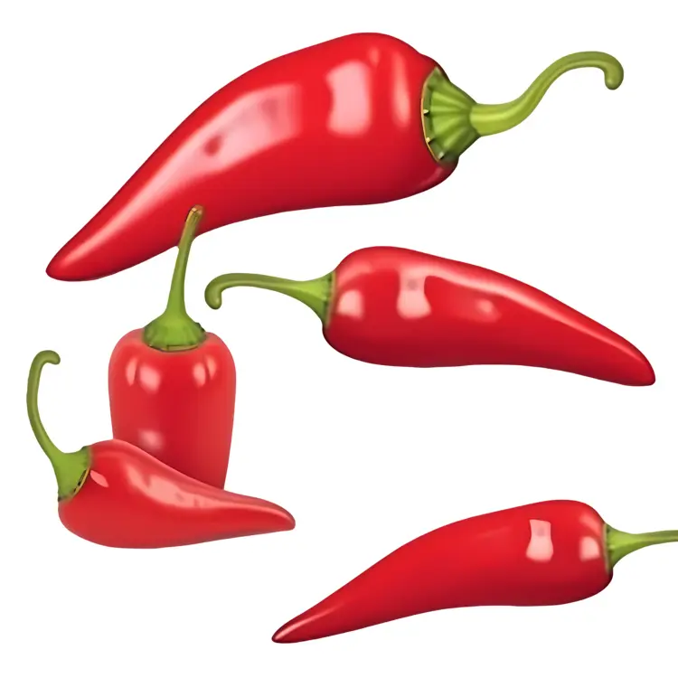 Illustration of Red Chili Peppers