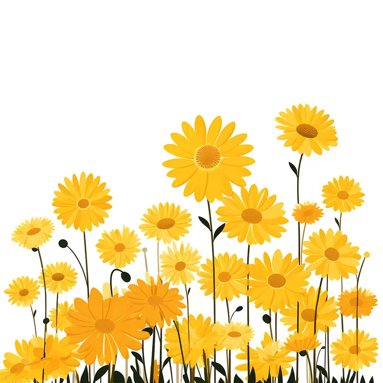 Yellow Flowers in a Field