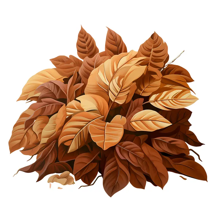 Brown Autumn Leaves Illustration