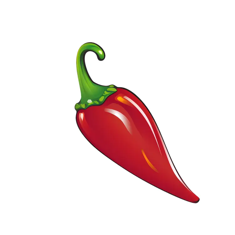 Single Red Chili Pepper Illustration