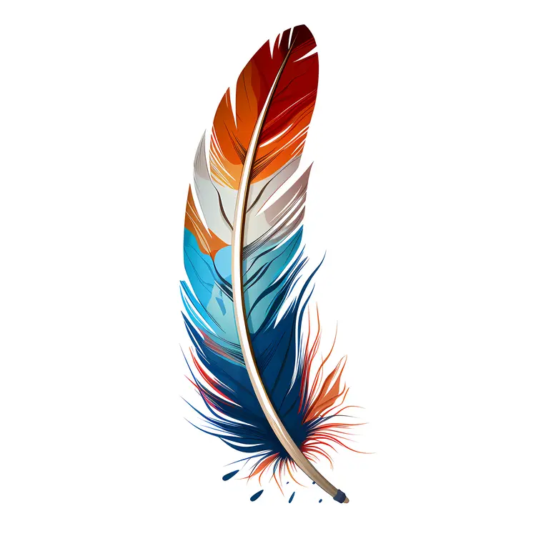 Colorful Feather Illustration