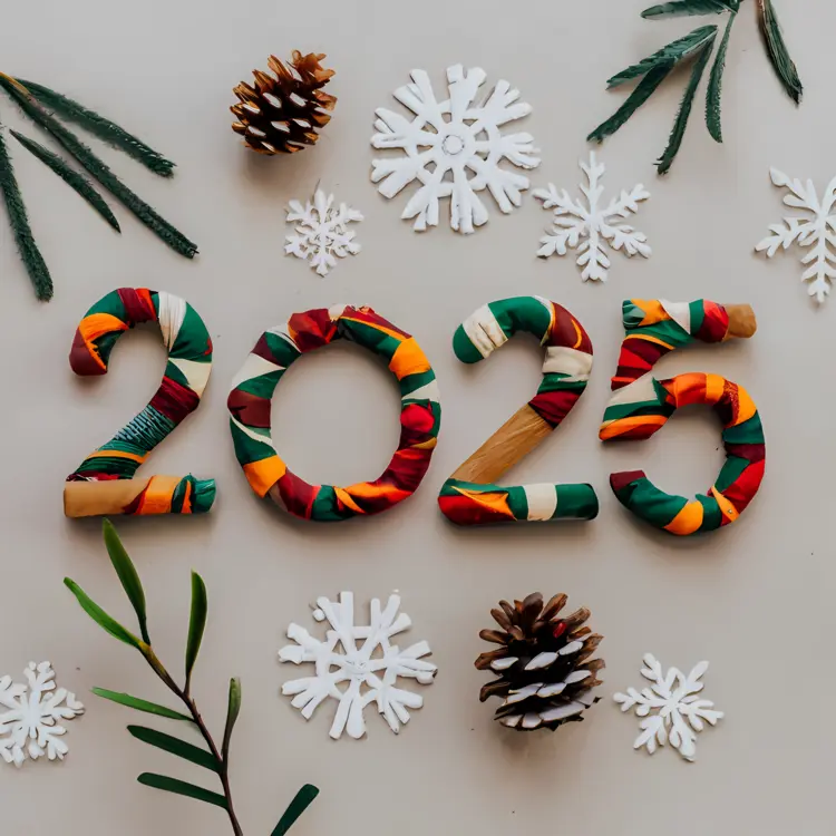 Colorful 2025 Christmas Decorations