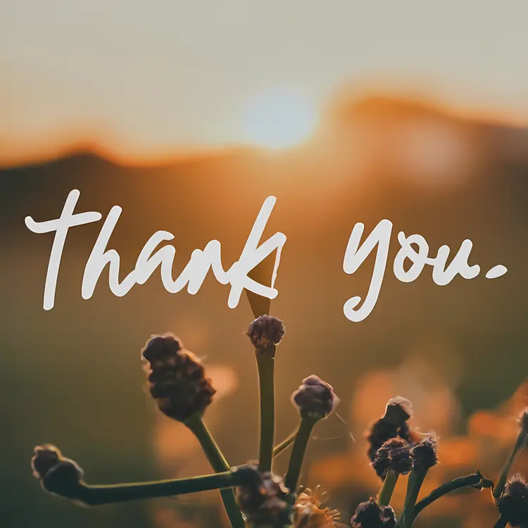 Thank You with Sunset Background
