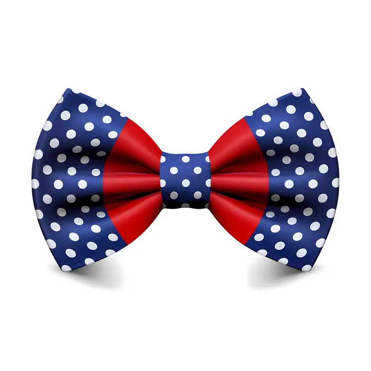Polka Dot Blue and Red Bow Tie