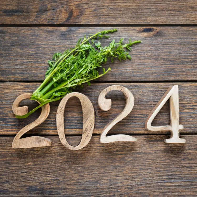 2024 Wooden Numbers with Greenery