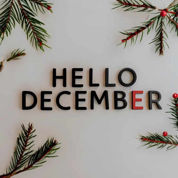 Hello December with Pine Branches