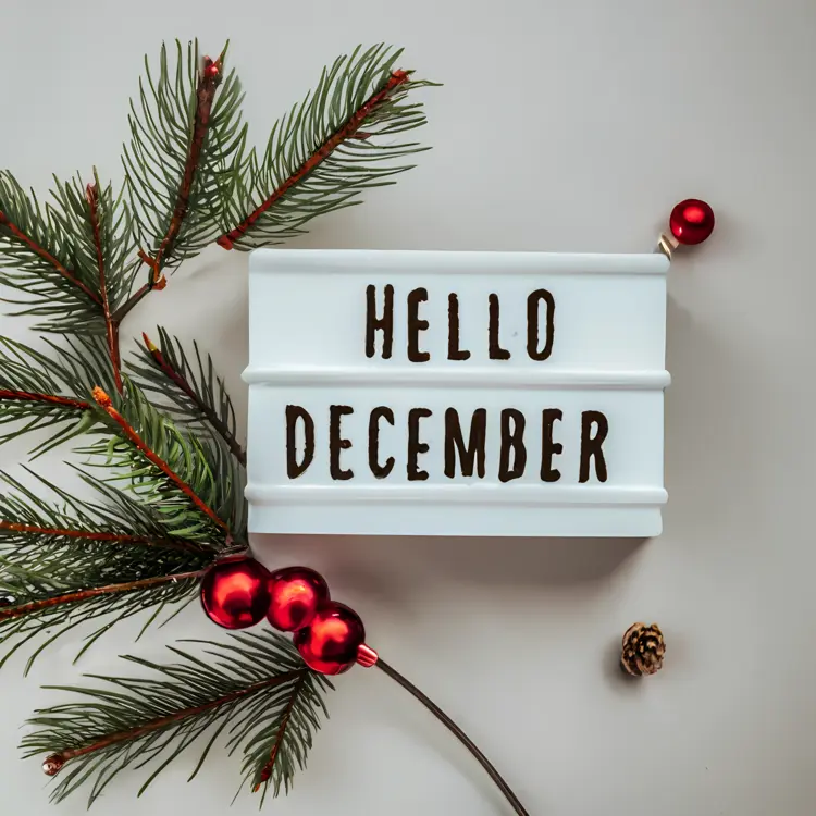 Hello December with Pine Branch