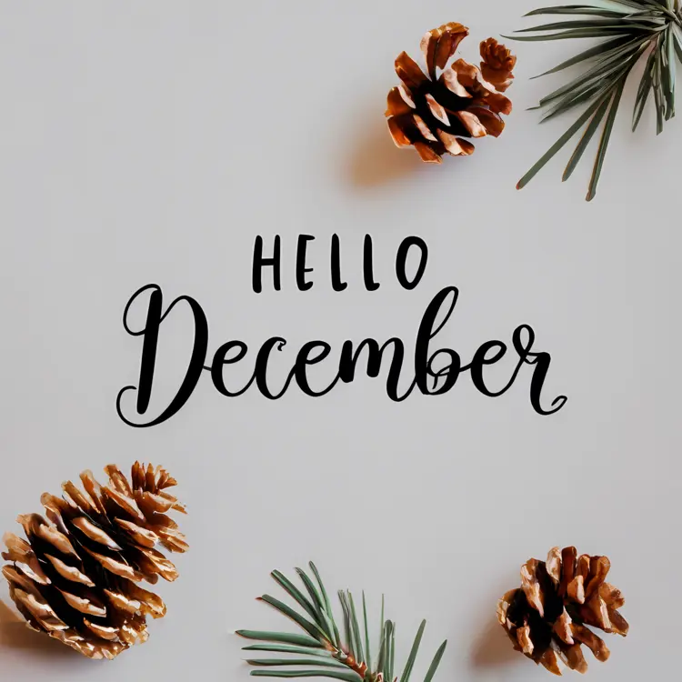 Hello December with Pine Cones and Branches
