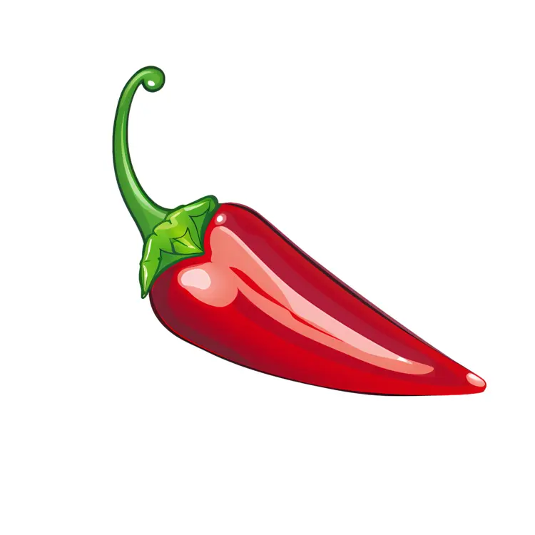 Single Red Chili Pepper Illustration