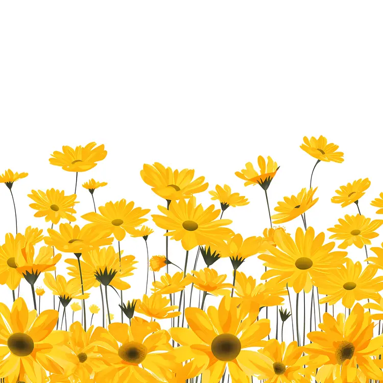 Field of Yellow Daisies