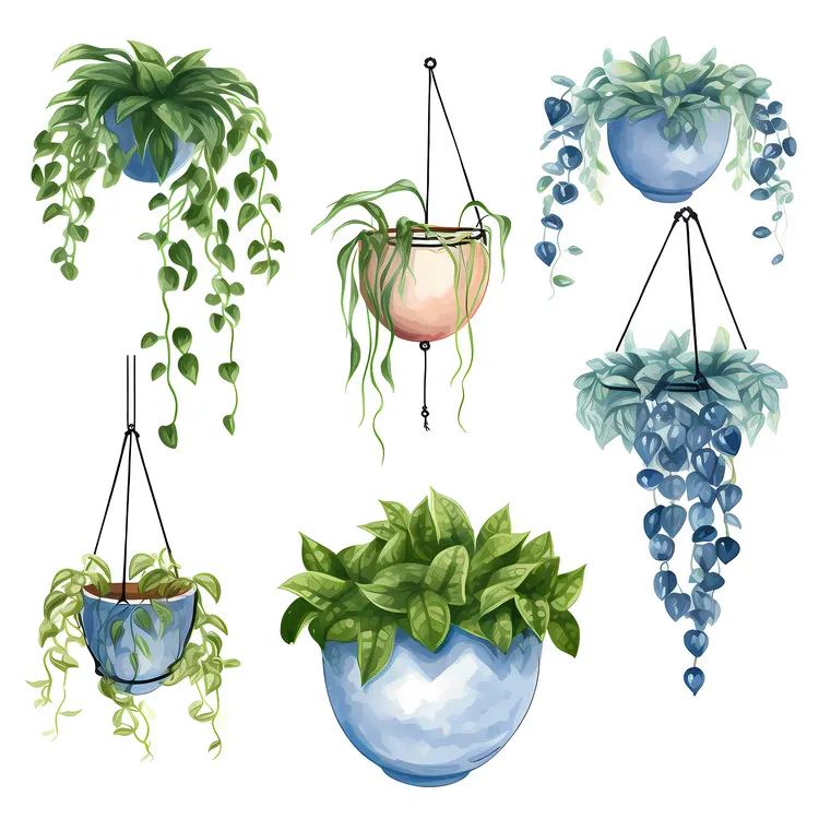 Beautiful Hanging Plants for Home Decor